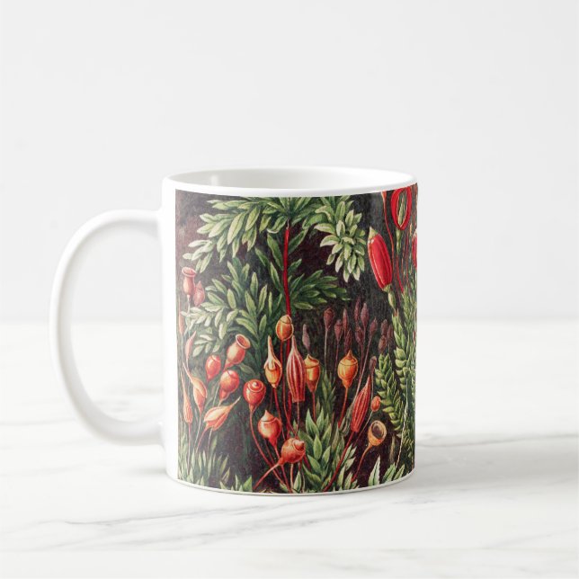 Mosses, Muscinae Laubmoose by Ernst Haeckel Coffee Mug (Left)