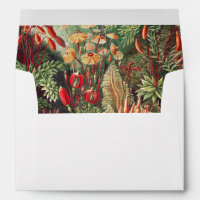 Mosses, Muscinae Laubmoose by Ernst Haeckel