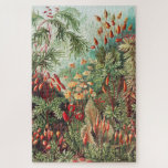 Mosses, Muscinae Laubmoose by Ernst Haeckel Jigsaw Puzzle<br><div class="desc">Muscinae Laubmoose by Ernst Haeckel Vintage Plants Jigsaw Puzzle.</div>