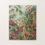 Mosses, Muscinae Laubmoose by Ernst Haeckel Jigsaw Puzzle<br><div class="desc">Muscinae Laubmoose by Ernst Haeckel Vintage Plants Jigsaw Puzzle.</div>