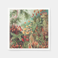 Mosses, Muscinae Laubmoose by Ernst Haeckel