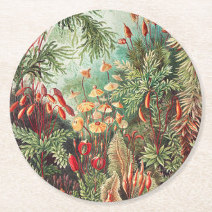 Mosses, Muscinae Laubmoose by Ernst Haeckel Round Paper Coaster