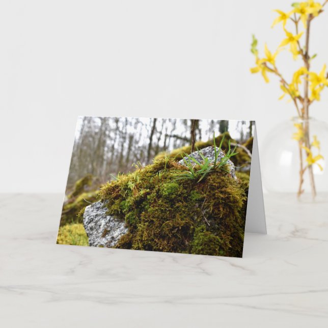 Mosses , Spring awakening Card (Yellow Flower)