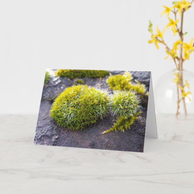 Mosses , Spring awakening Card (Yellow Flower)