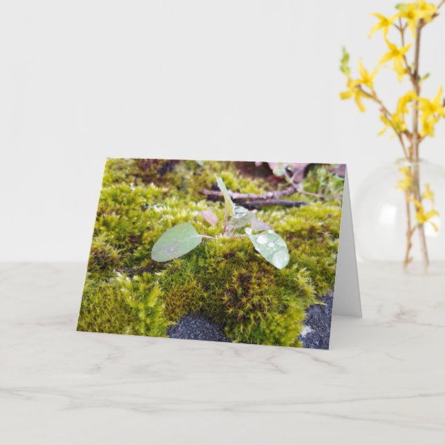 Mosses with tiny Flowers , Spring awakening Card (Yellow Flower)