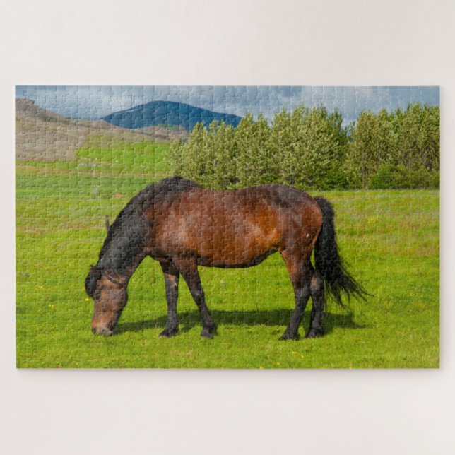 Mossfellsbaer Icelandic Horse Jigsaw Puzzle (Horizontal)