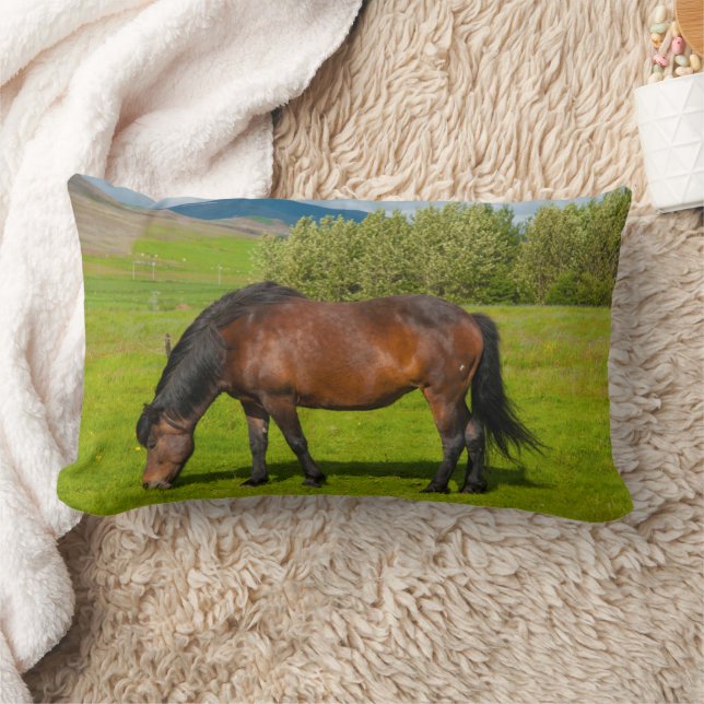 Mossfellsbaer Icelandic Horse Lumbar Cushion (Blanket)