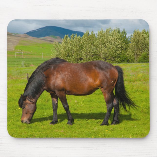 Mossfellsbaer Icelandic Horse Mouse Pad (Front)