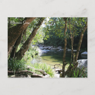 Mossman Gorge, Queensland - Postcard