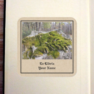 Mossy Broken Headstone Bookplate Square Sticker