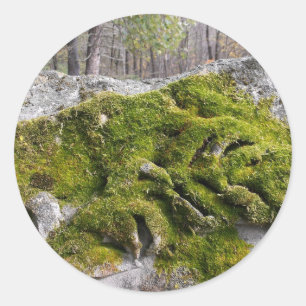 Mossy Broken Headstone Classic Round Sticker