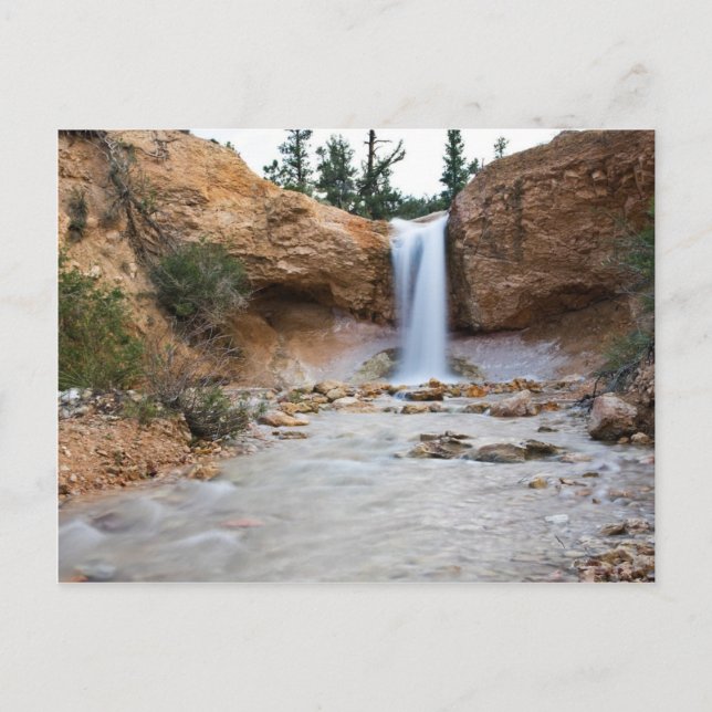 Mossy Cave Waterfall Postcard (Front)