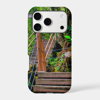 Mossy Forest