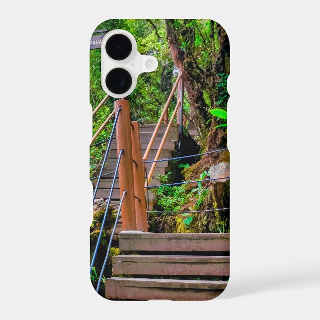 Mossy Forest (Back)