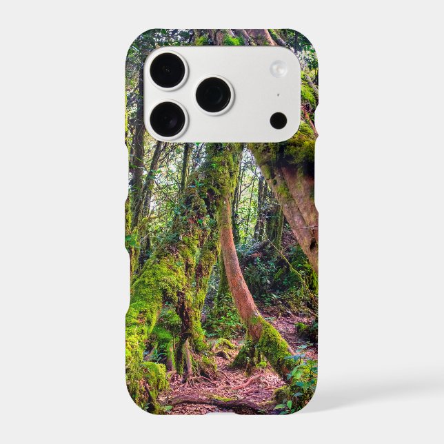 Mossy Forest (Back)