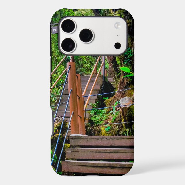 Mossy Forest (Back)