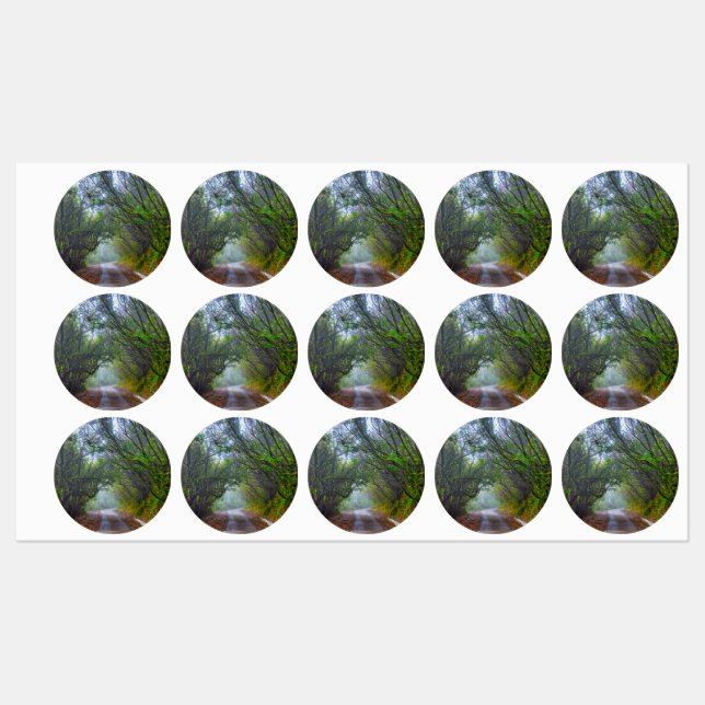 Mossy Forest (Sheet)