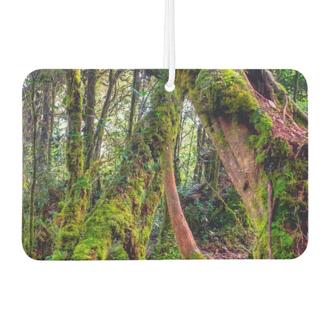 Mossy Forest Car Air Freshener (Front)