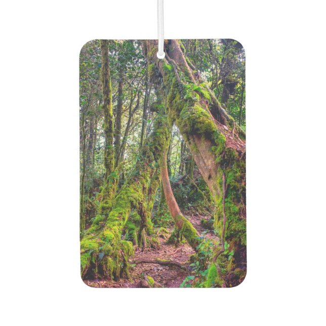 Mossy Forest Car Air Freshener (Front)