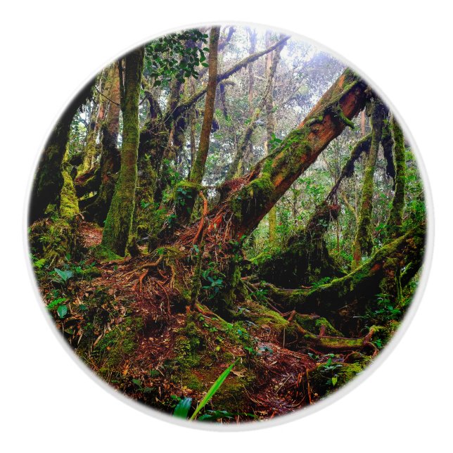 Mossy Forest Ceramic Knob (Front)