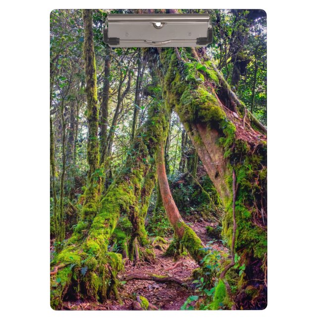 Mossy Forest Clipboard (Front)