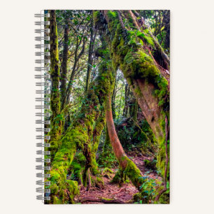 Mossy Forest Notebook