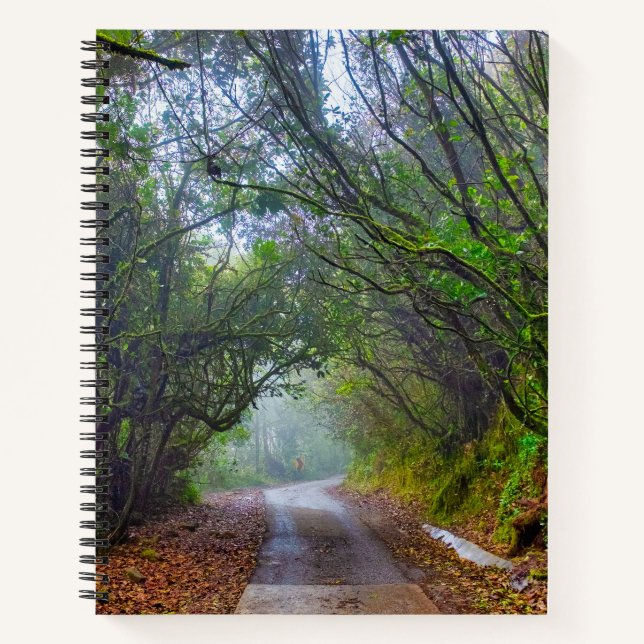 Mossy Forest Notebook (Front)