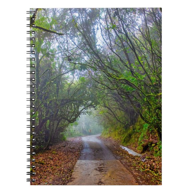 Mossy Forest Notebook (Front)