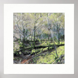 Mossy Forest Poster