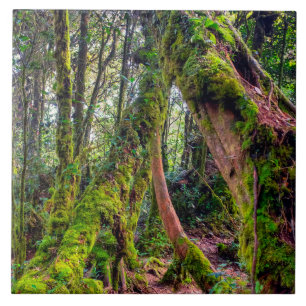 Mossy Forest Tile