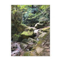 Mossy Mountain Stream in a Japanese Forest Jigsaw