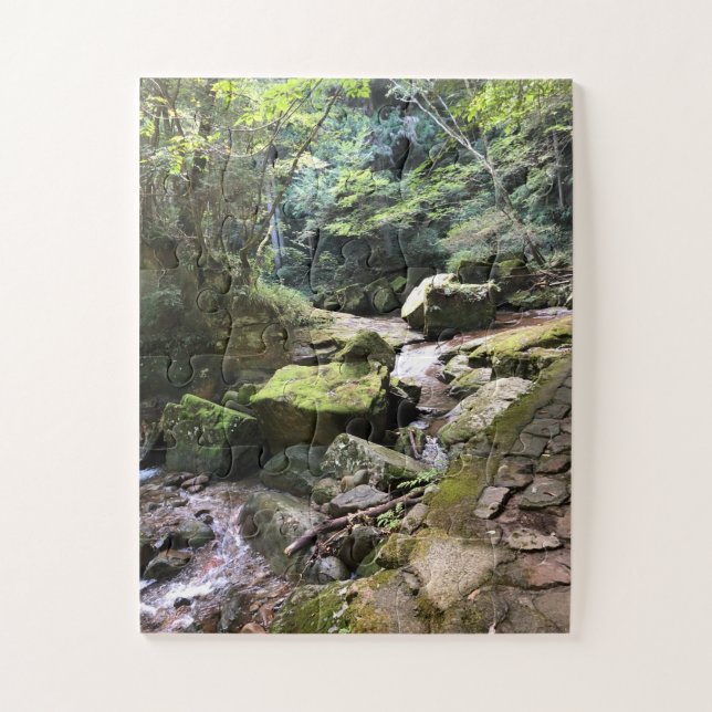 Mossy Mountain Stream in a Japanese Forest Jigsaw  Puzzle (Vertical)