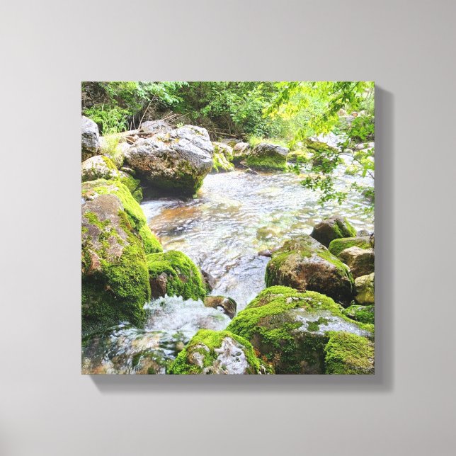 Mossy Mountain Stream – Pristine Forest River Canv Canvas Print (Front)