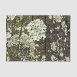 Mossy Oak Trunk Tissue Paper