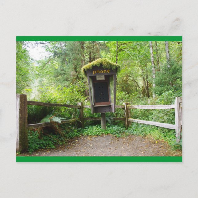 Mossy Phone Booth - Hoh Rain Forest Postcard (Front)