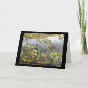 Mossy Pond Greeting Card