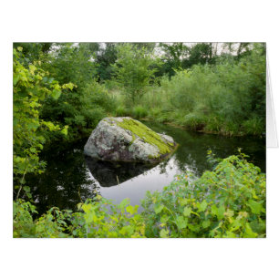 Mossy Rock in Pond
