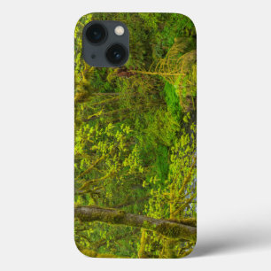 Mossy Rocks And Trees Line Eagle Creek iPhone 13 Case