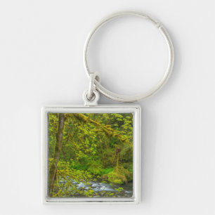 Mossy Rocks And Trees Line Eagle Creek Key Ring