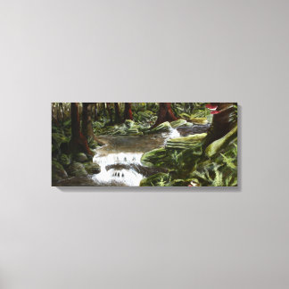Mossy Rocks Canvas Print