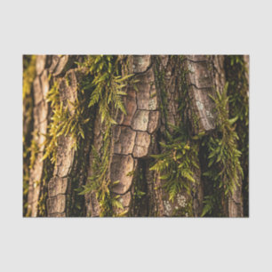 Mossy Tree Bark Forest Texture Tissue Paper