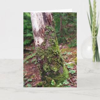 Mossy Tree card