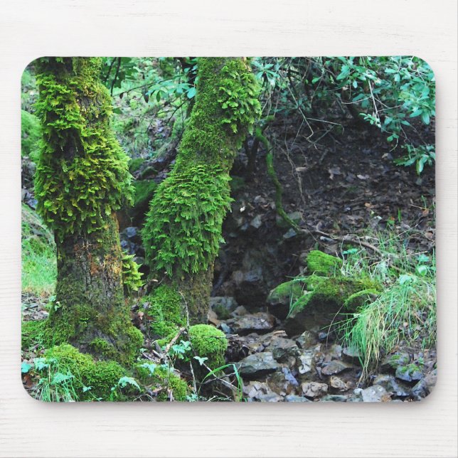 Mossy Trees Mouse Pad (Front)