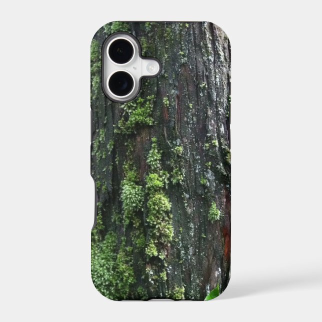 Mossy Trunk (Back)