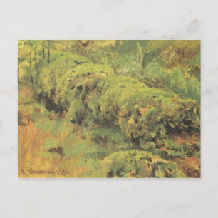 Mossy Wood by Ivan Shishkin Postcard