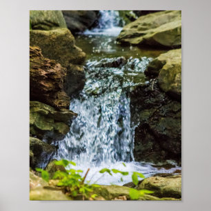 Mossy Woodland Falls Poster