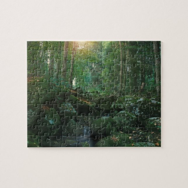 Mossy Woodland Stream Jigsaw Puzzle (Horizontal)
