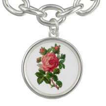 Most Beautiful Vintage Pink Rose