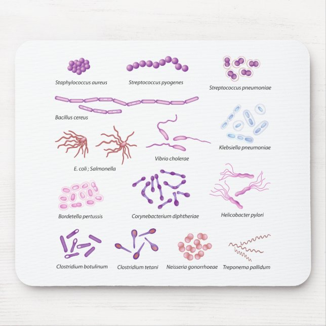 Most common bacteria infecting human Mousepad (Front)