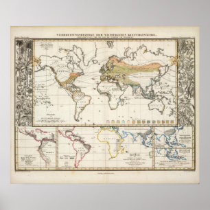 most important cultivated plants spread Districts Poster